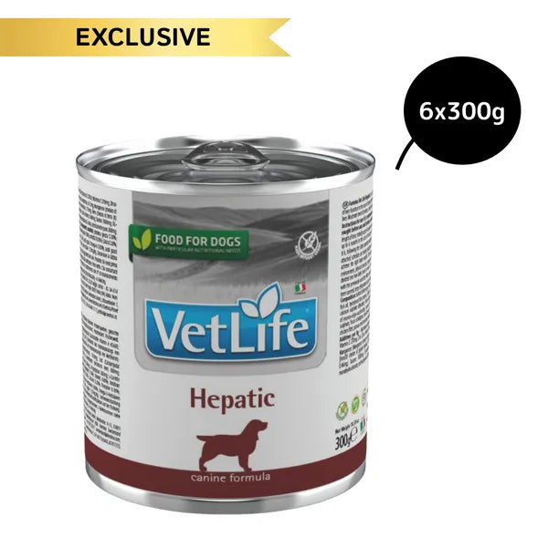 Farmina Vet Life Hepatic Wet Dog Food
