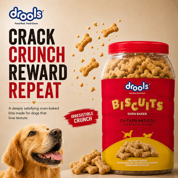 Drools Chicken and Egg Biscuit Dog Treats