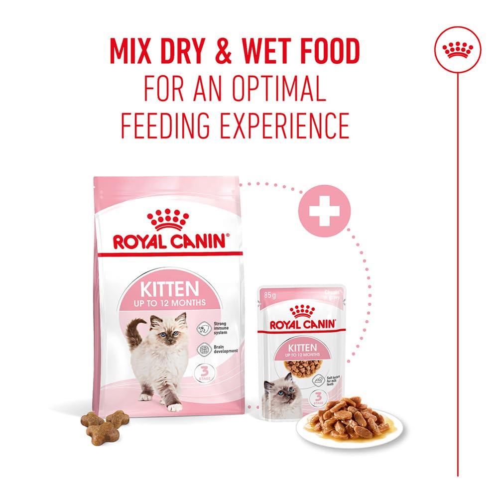 Royal Canin Kitten Wet Cat Food