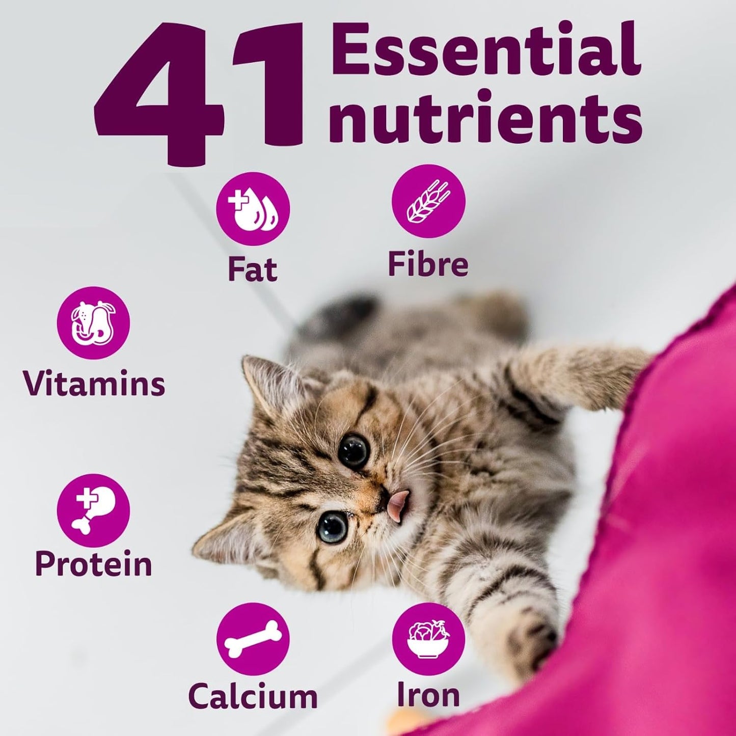 Whiskas Ocean Fish Flavour Junior Mother Cat & Kitten (2-12 Months) Dry Cat Food