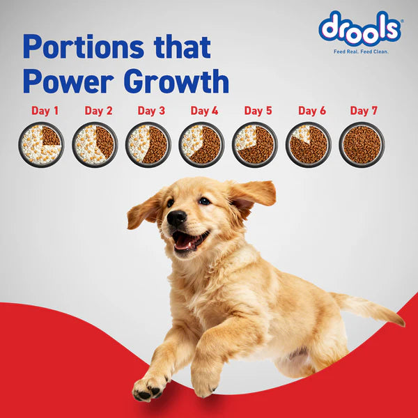 Drools Chicken and Egg Puppy Dog Dry Food