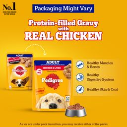 Pedigree Adult Wet Dog Food Chicken & Liver Chunks in Gravy Pouch