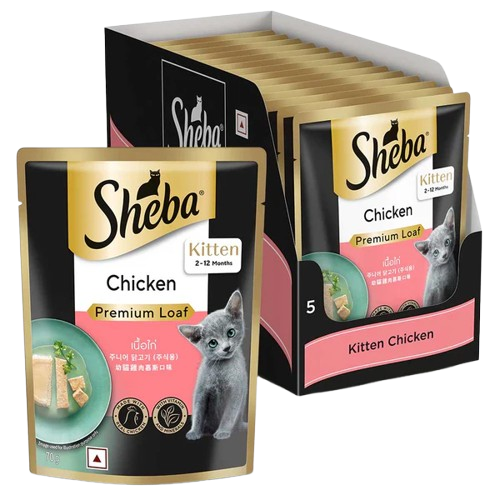Sheba Chicken Loaf Rich Premium Kitten (2 to 12 Months) Fine Cat Wet Food