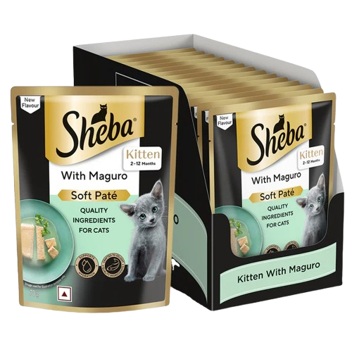 Sheba Maguro Pate Rich Premium Kitten Cat Wet Food