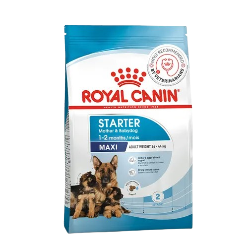 Royal Canin Maxi Starter Dry Dog Food