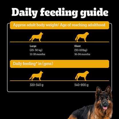 Pedigree PRO Expert Nutrition Active Adult Large Breed Dog Dry Food