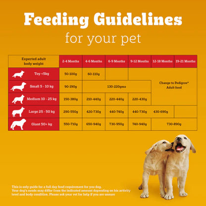 Pedigree Puppy Dry Dog Food  Food Chicken & Milk
