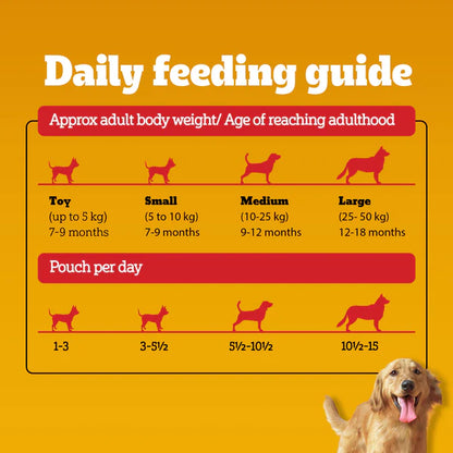 Pedigree Adult Roasted Lamb Flavour chunks in Gravy