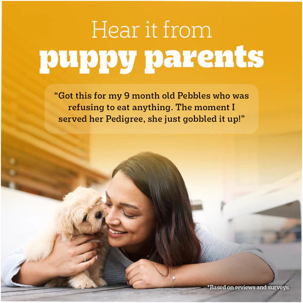 Pedigree Puppy Lamb Flavour Chunks in Gravy