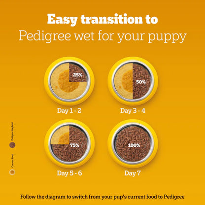 Pedigree Puppy Lamb Flavour Chunks in Gravy