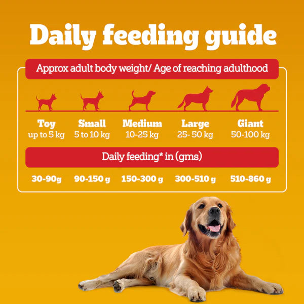 Pedigree Adult Dry Dog Food Meat & Rice