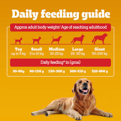 Pedigree Adult Dry Dog Food Meat & Rice