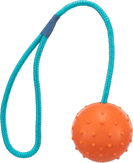 Trixie Longies Assorted Dog Toys 18cm
