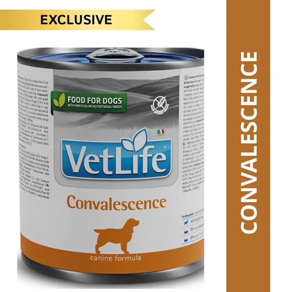 Farmina Vet Life Convalescence Wet Dog Food