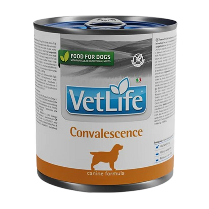 Farmina Vet Life Convalescence Wet Dog Food