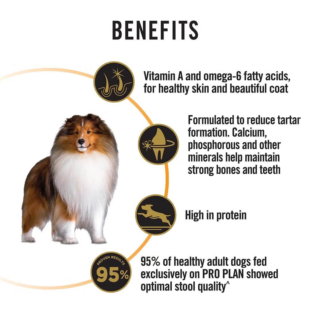 Purina Pro Plan Chicken Medium Breed Adult Dog Dry Food (T)