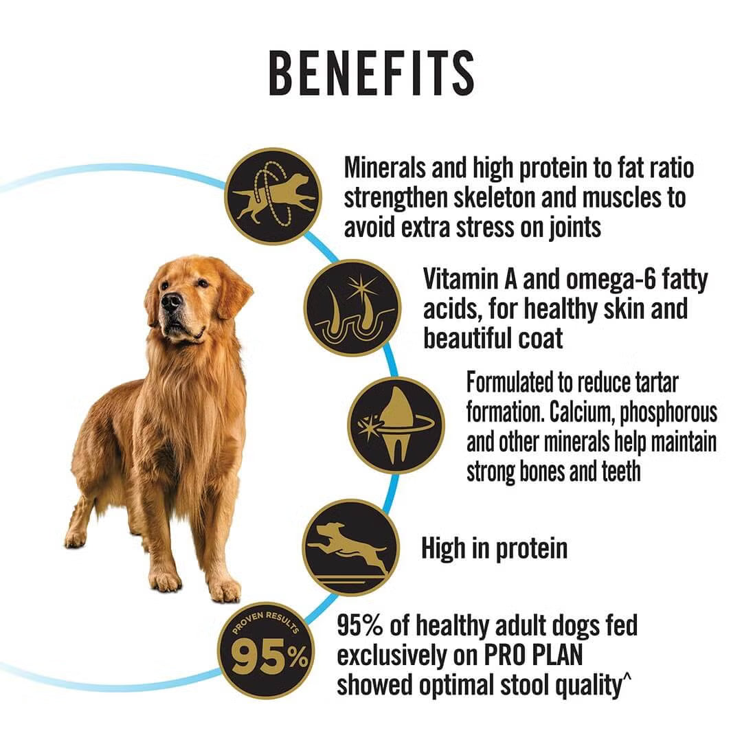 Purina Pro Plan Adult Dry Dog Food for Large Breed Dogs (T)
