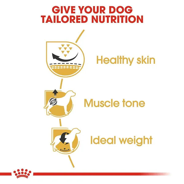 Royal Canin Pug Mini Adult Dry Dog Food
