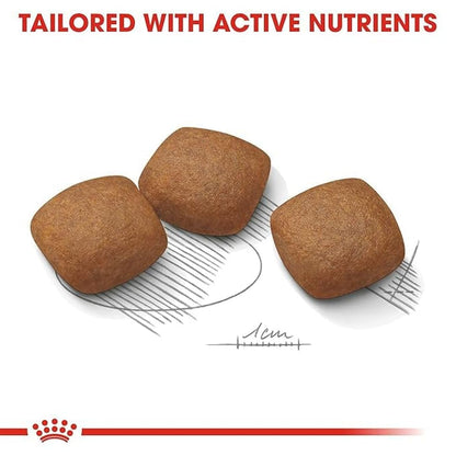 Royal Canin Joint Care Maxi Dry Dog Food 3kg