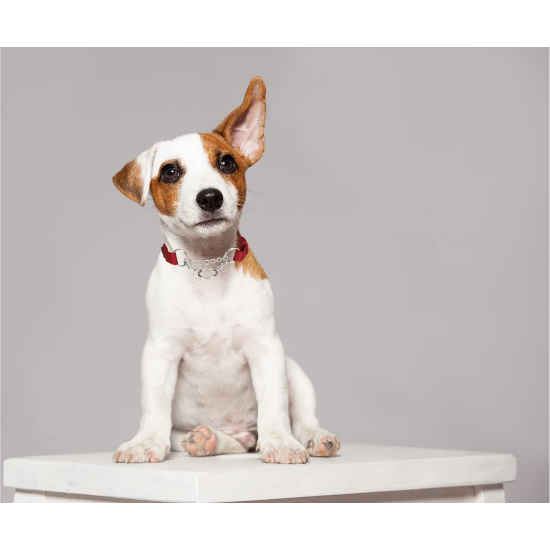 Trixie Premium Stop the Pull Collar (S-M, Cherry RED)
