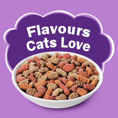 Purina Friskies Surfin Adult Cat Dry Food (T)