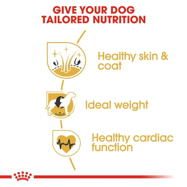 Royal Canin Cocker Medium Adult Dry Dog Food 3kg