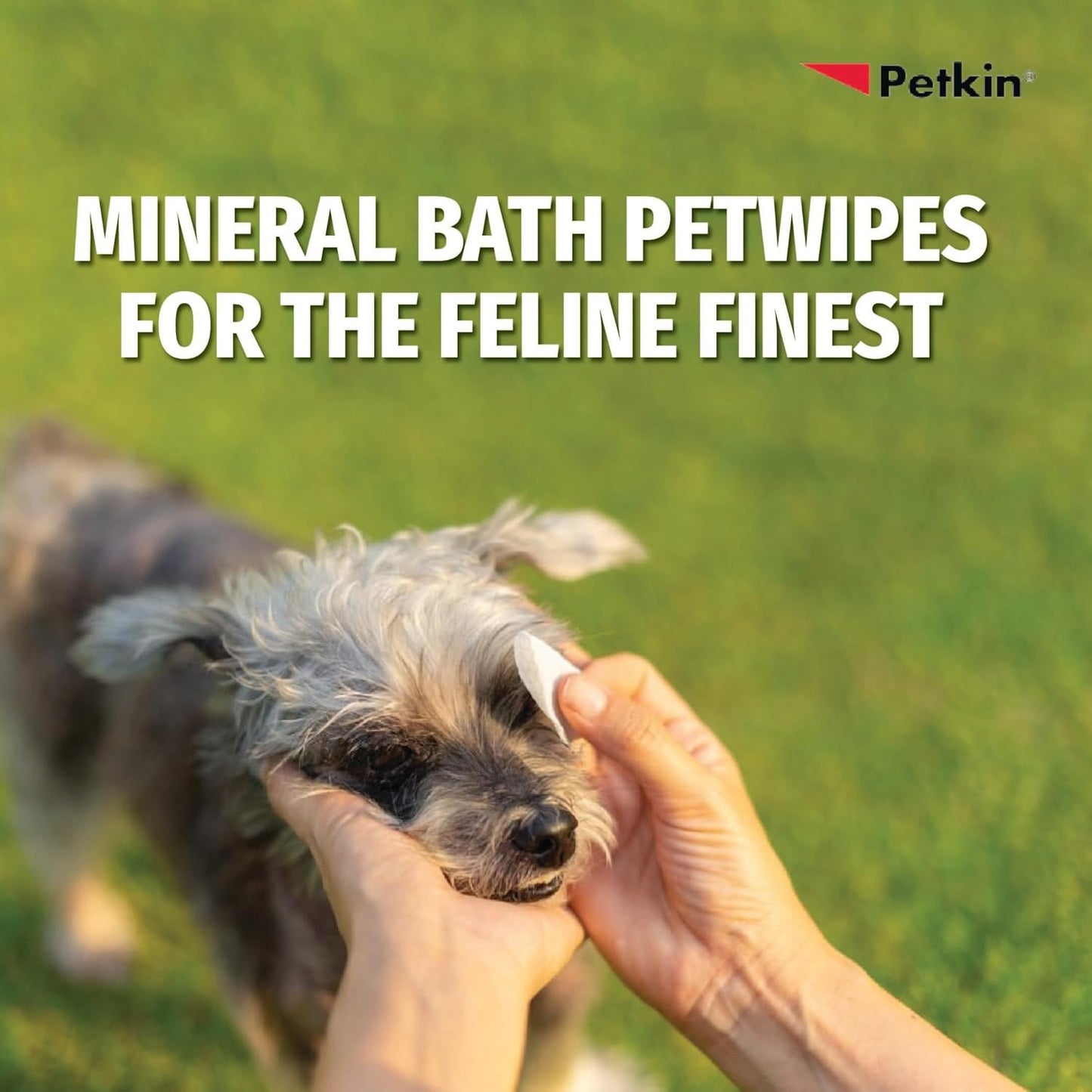 Petkin Petwipes Big 'n Thick Extra Large Pet Wipes for Dogs and Cats