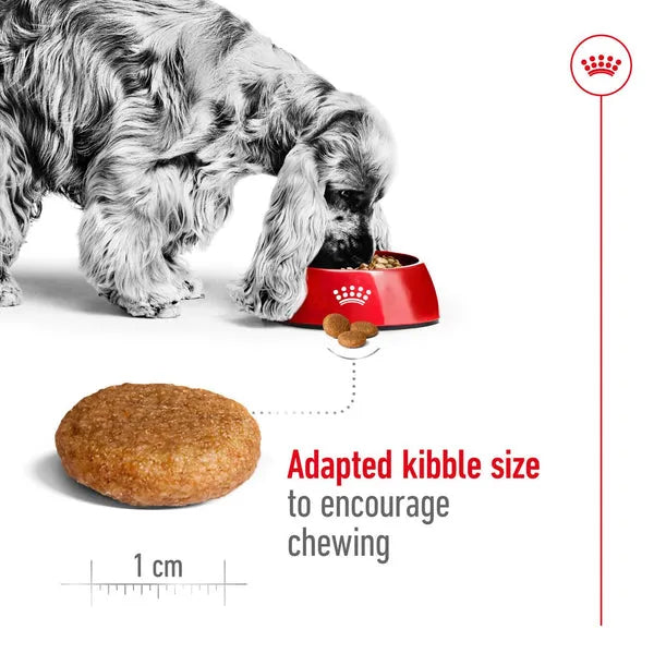 Royal Canin Medium Adult Dry Dog Food