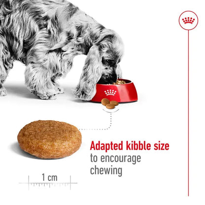 Royal Canin Medium Adult Dry Dog Food