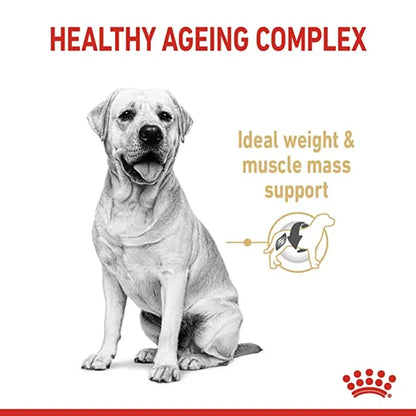 Royal Canin Labrador Retriever Maxi Adult 5+ Dry Dog Food 3KG