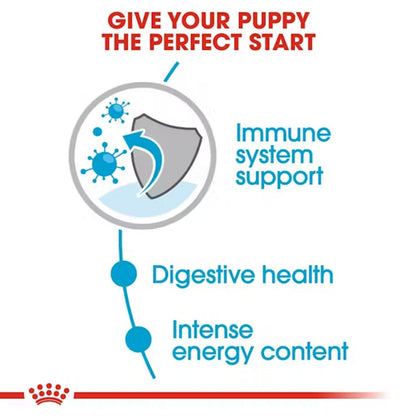 Royal Canin Mini Puppy Wet Food (T)