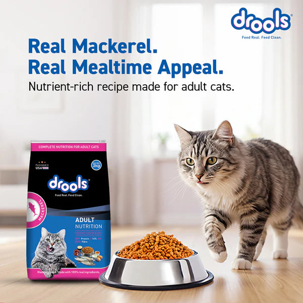 Drools Mackerel Adult Cat Dry Food
