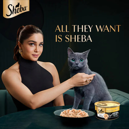 Sheba Tuna Fillet & Whole Prawns in Gravy Premium Cat Wet Food