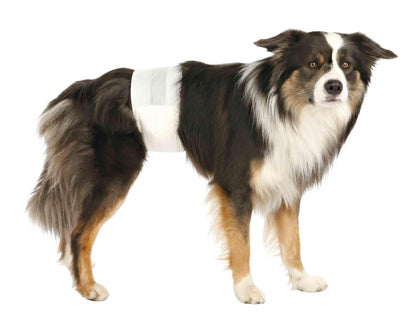 Trixie Disposable Diapers for Male Dogs -12Pcs (M-L)