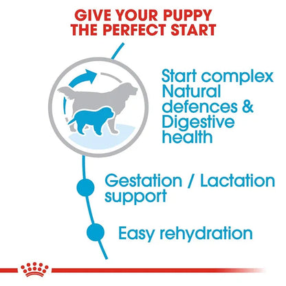 Royal Canin Giant Starter Dry Dog Food