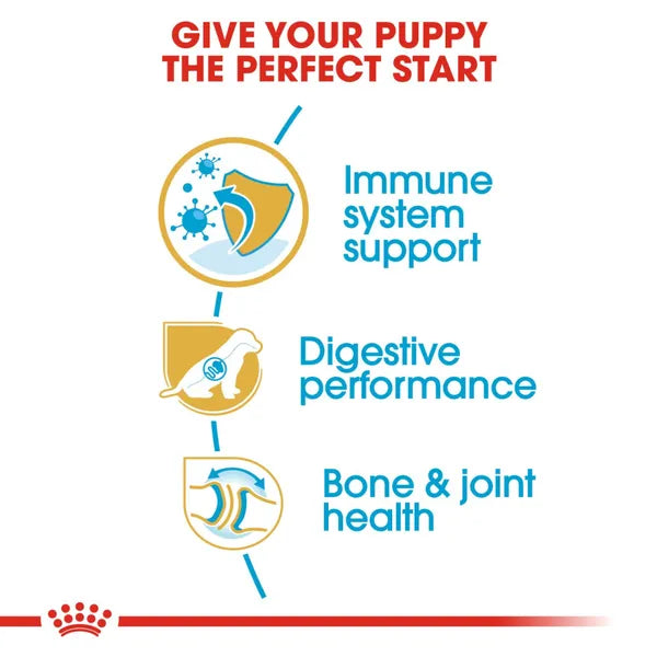 Royal Canin German Shepherd Maxi Puppy Dry Dog Food