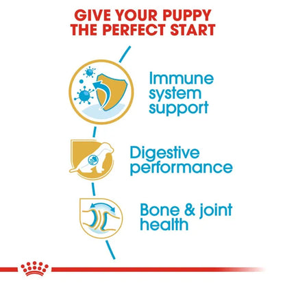 Royal Canin German Shepherd Maxi Puppy Dry Dog Food