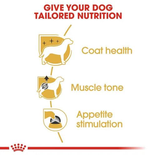 Royal Canin Poodle Medium Adult Dry Dog Food