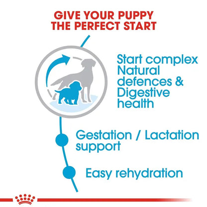 Royal Canin Medium Starter Dry Dog Food