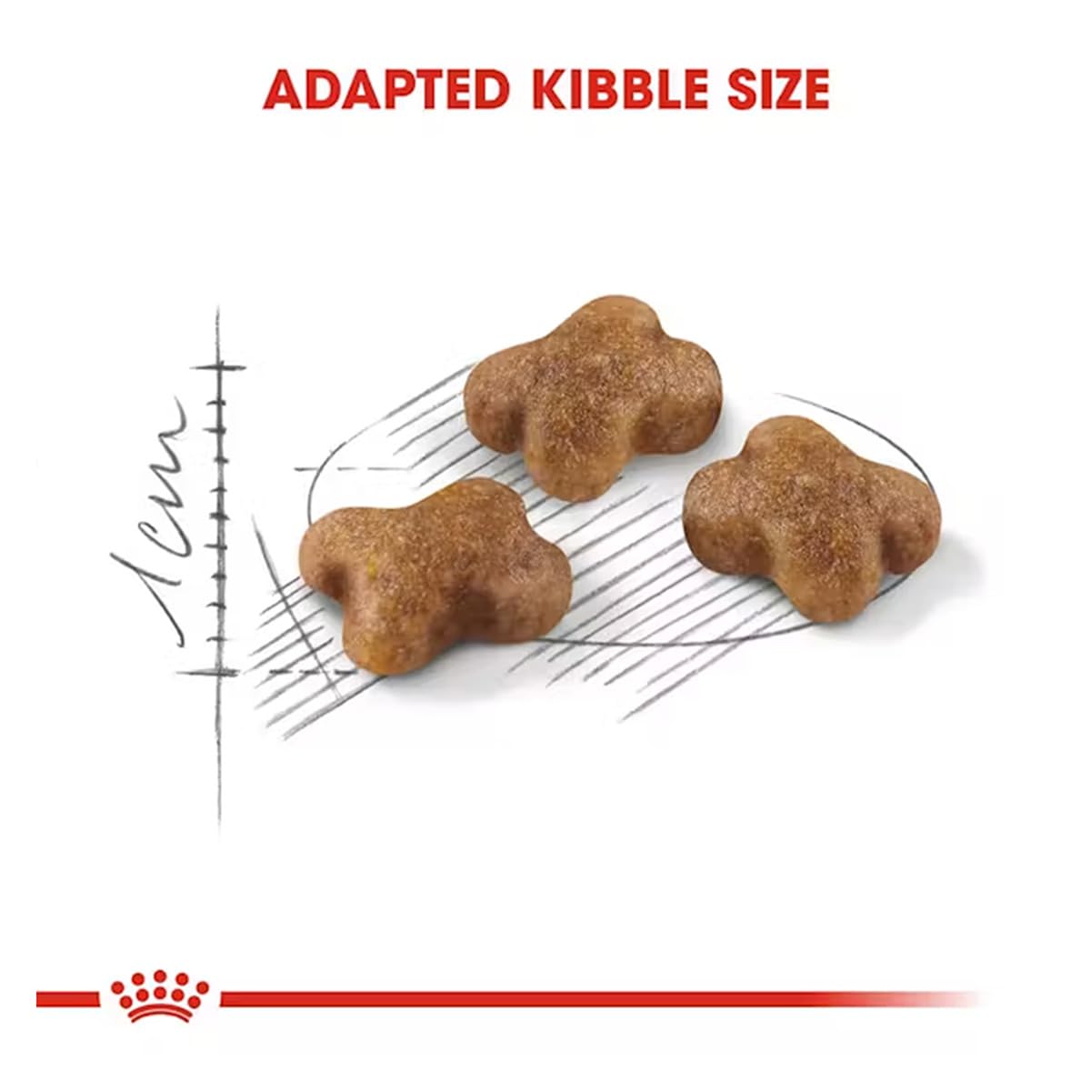 Royal Canin Kitten Dry Cat Food