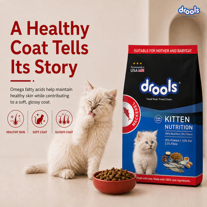 Drools Mackerel Kitten Cat Dry Food 1KG