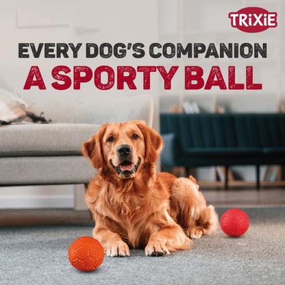 TRIXIE Sport Ball Natural Rubber Toy for Dog & Cat