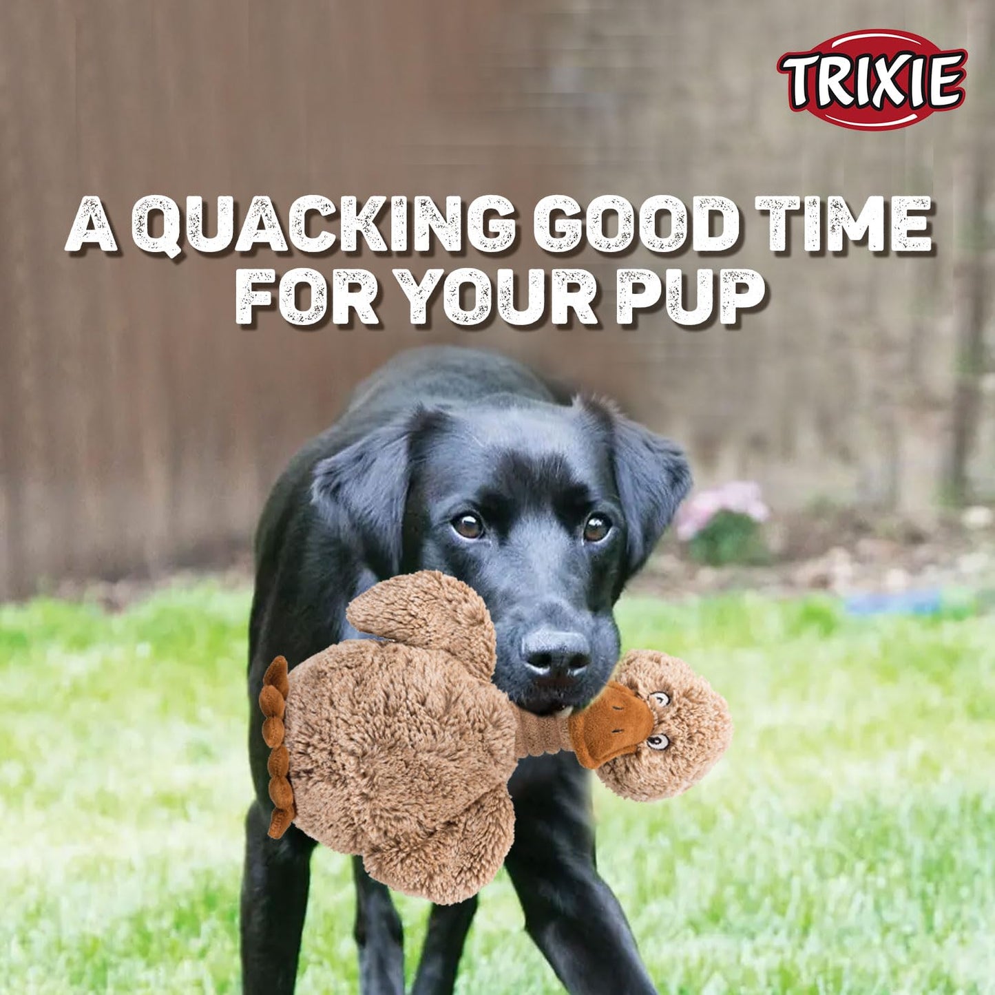 Trixie Animal Duck Plush Toy for Dogs - 38cm