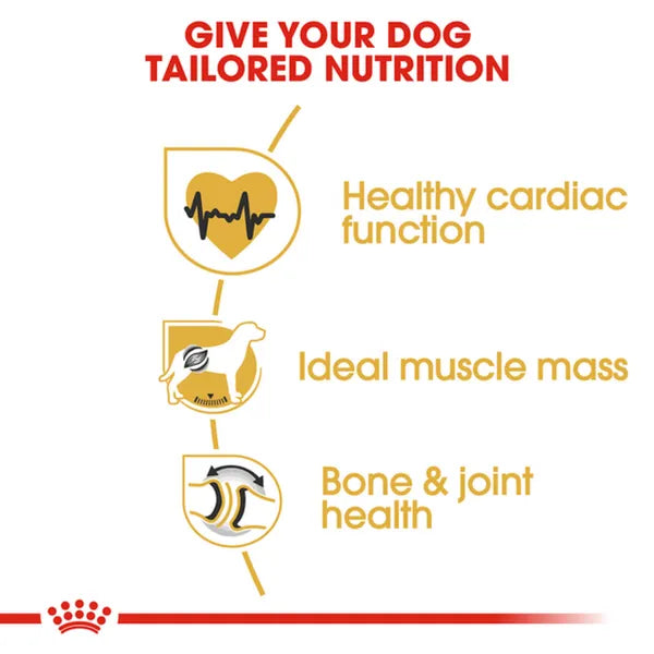 Royal Canin Rottweiler Maxi Adult Dry Dog Food