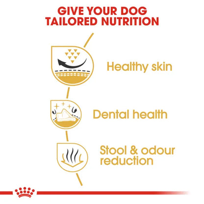 Royal Canin Shih Tzu Mini Adult Dry Dog Food