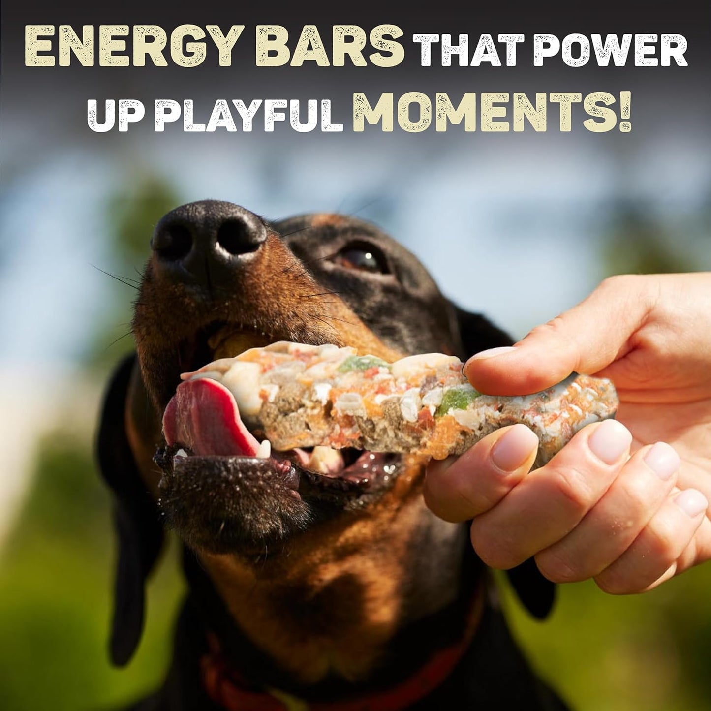 Trixie Dog Treats Energy Bars - 100g