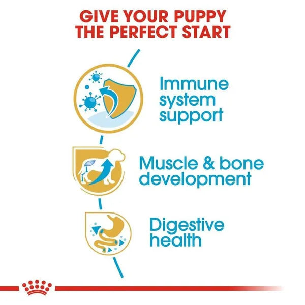 Royal Canin Rottweiler Maxi Puppy Dry Dog Food