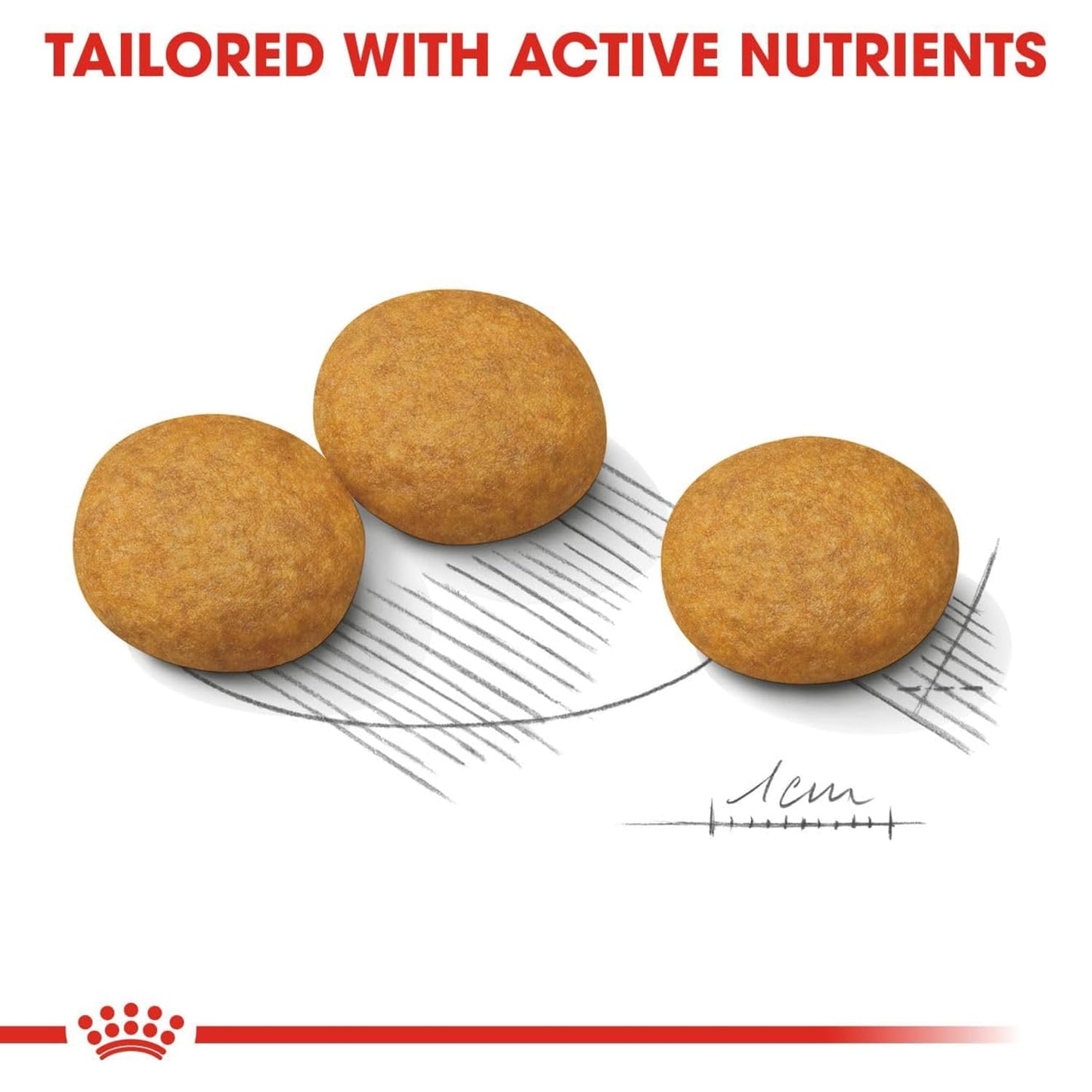 Royal Canin Dermacomfort Medium Dry Dog Food 3kg