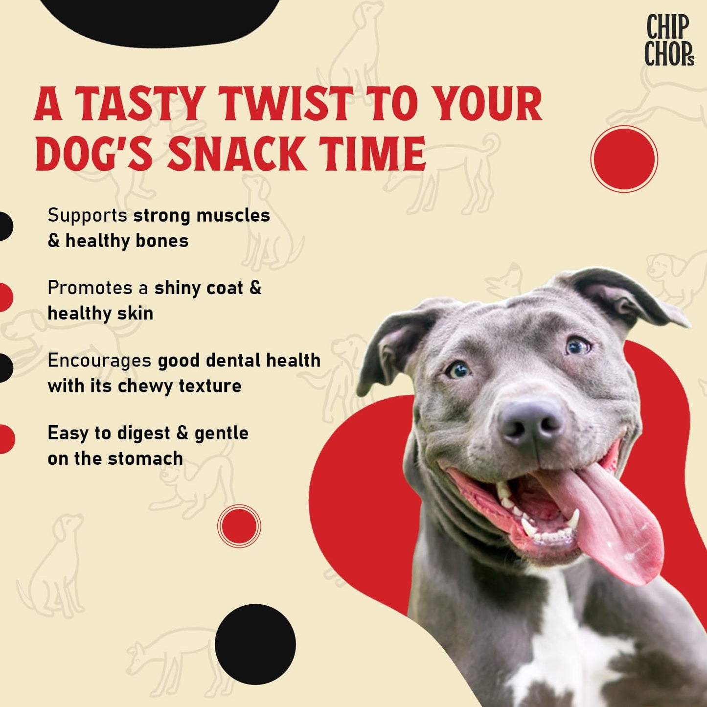 Chip Chops Chicken Pasta Dog Treats