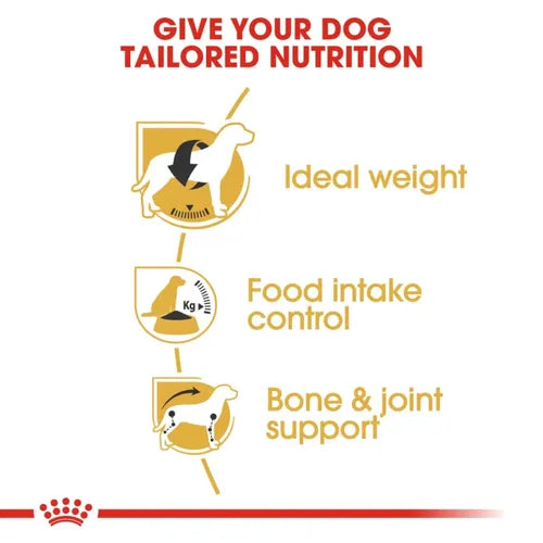 Royal Canin Beagle Medium Adult Dry Dog Food